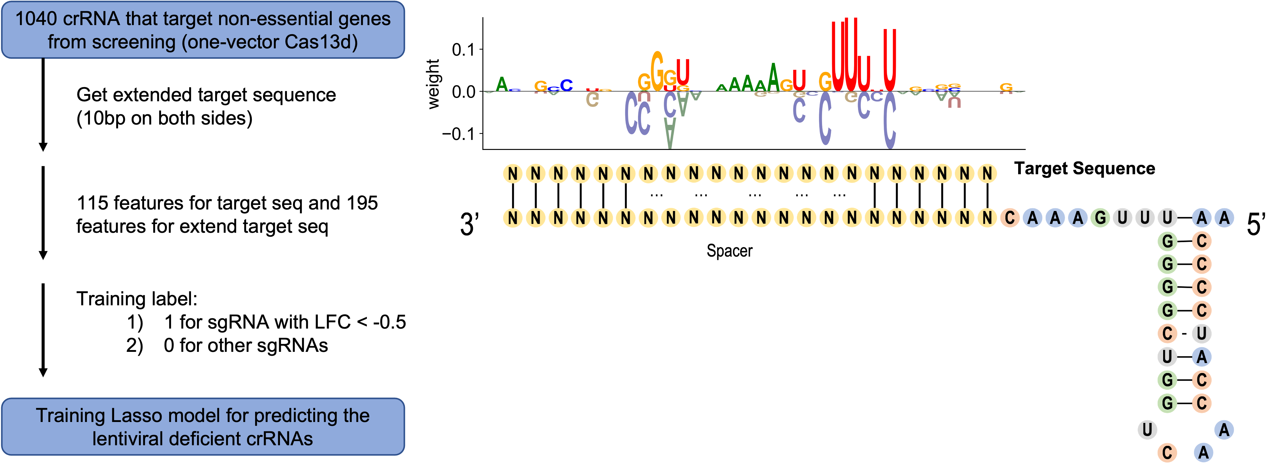 Lasso structure